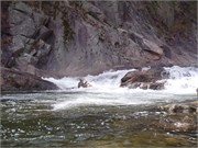 Wilsons Creek 202